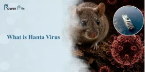 What Is Hanta Virus? Symptoms, Causes & Treatment Guide