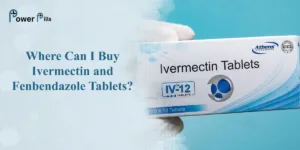 Where Can I Buy Ivermectin and Fenbendazole Tablets Online?